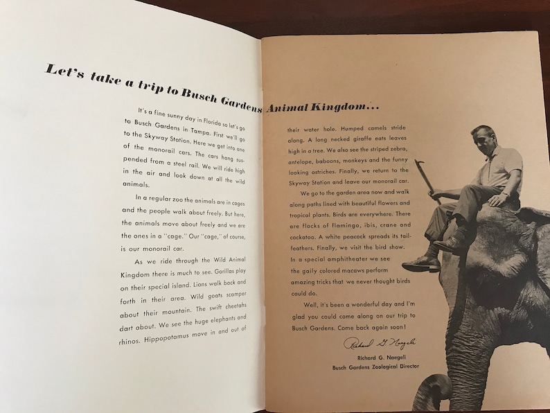 Vintage 1970/'s Busch Gardens Coloring Book