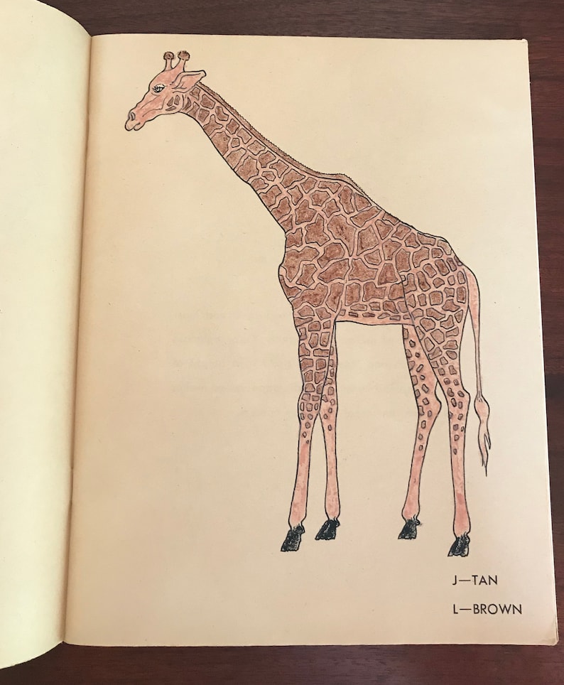 Vintage 1970/'s Busch Gardens Coloring Book