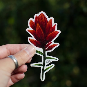 4&quot; Decal Sticker - Indian Paintbrush