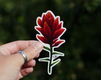 4" Decal Sticker - Indian Paintbrush