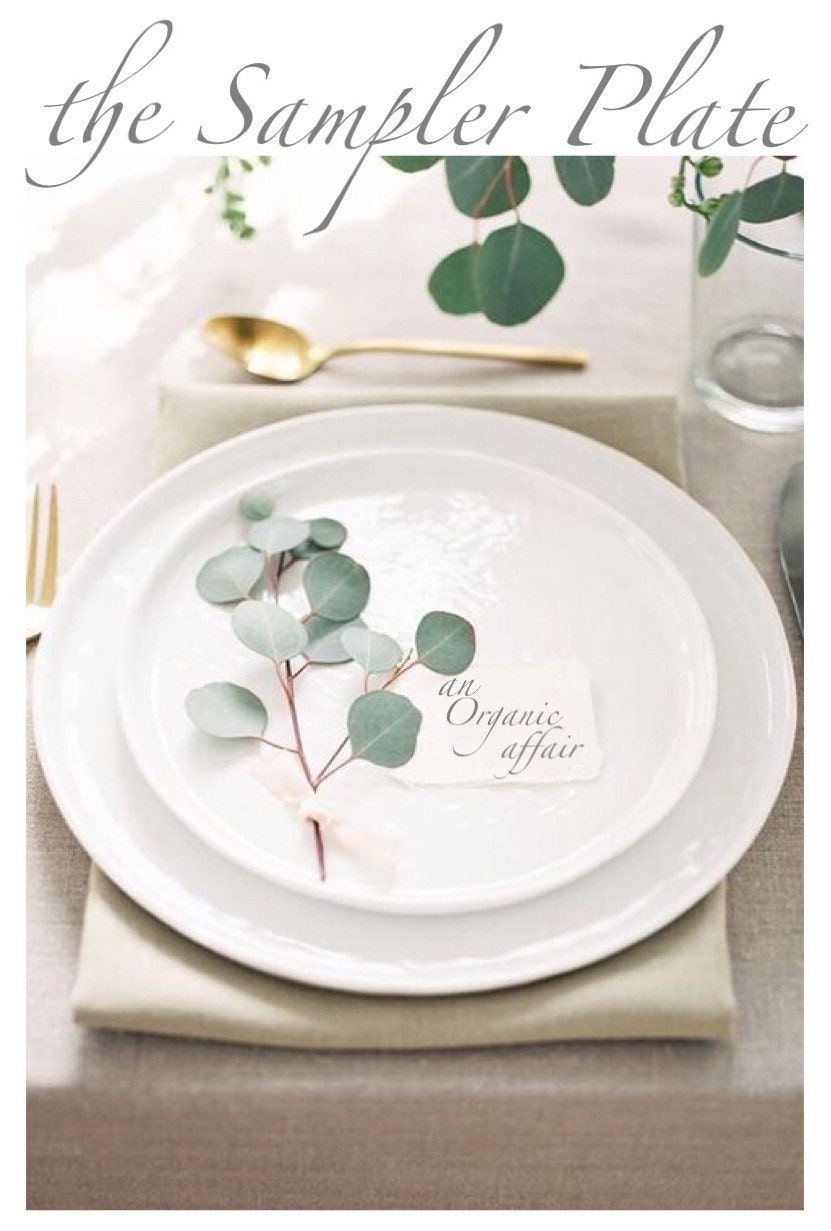 Silver Dollar Eucalyptus Sampler Plate 6 oz Fresh Sprigs / 3 Etsy