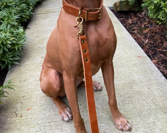 Guinzaglio per cani in pelle The Pack Leader, pieno fiore, girevole, moschettone