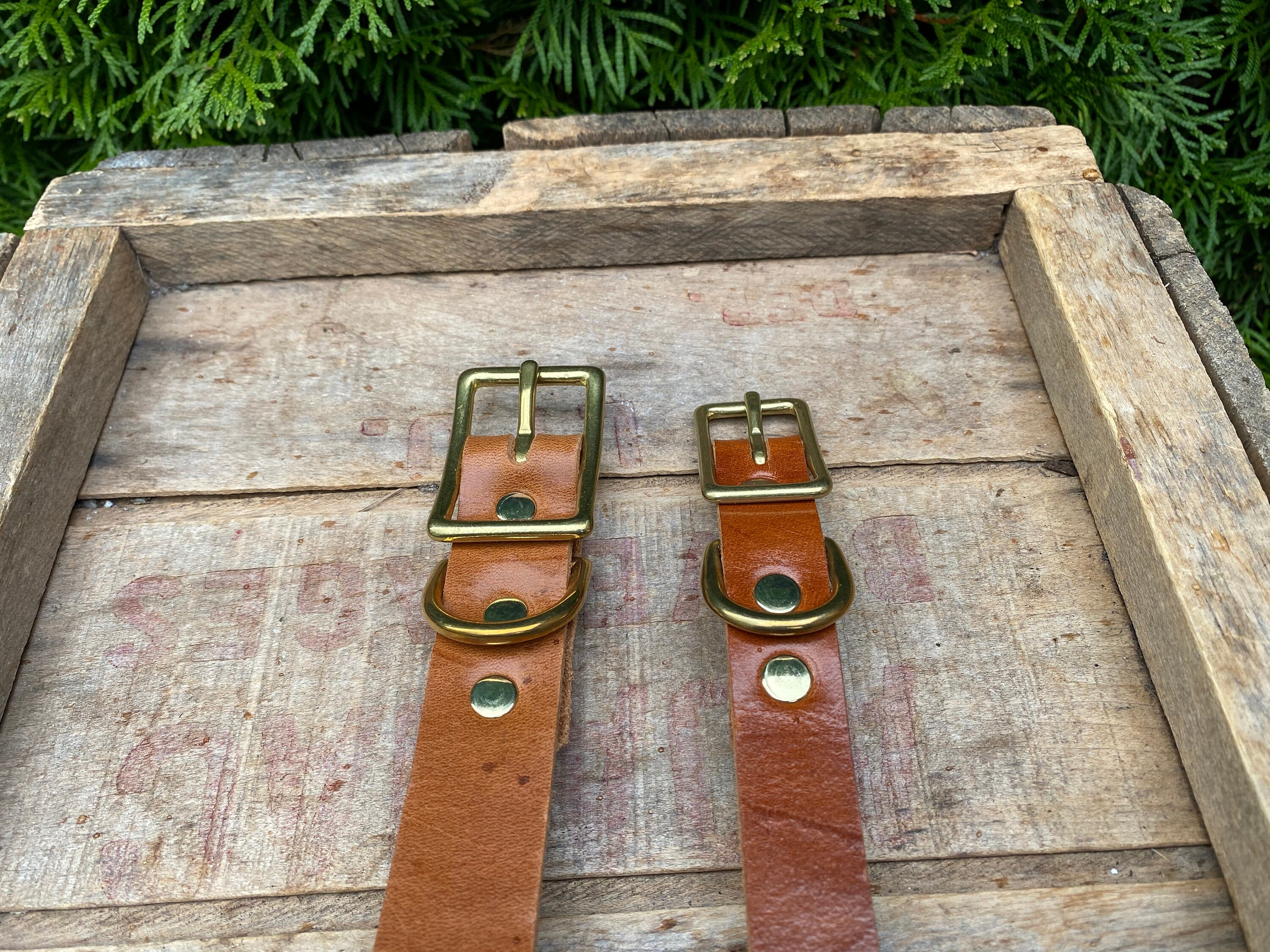 The Pack Leader 1 Leather Dog Collar, Fullgrain, Brass, Nickel