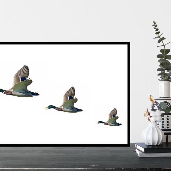 Flying Ducks Etsy Uk Flying Ducks Etsy Uk