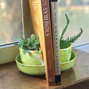 Könnte beinhalten: Zwei kleine, hellgrüne Keramik-Pflanzgefäße mit bunten Sprenkeln, die jeweils eine Sukkulente und einen Farn enthalten. Zwei Bücher, "Symbols" und "About Looking", stehen zwischen den Pflanzgefäßen auf einer Holzoberfläche in der Nähe eines Fensters.