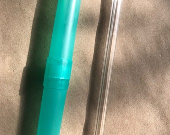 Glass straw with case