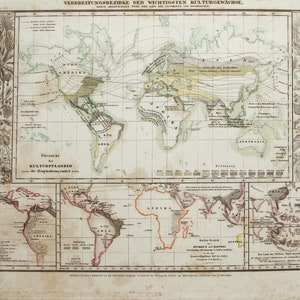 Seltene Weltkarte Verbreitungsgebiete der wichtigsten Kulturgewächse, Verbreitungsregion Der wichtigsten Kulturgewächs 1839