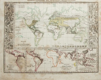 Rare 1839 World Map: Cultural Crop Distribution, Antique Botanical Print