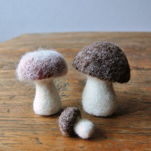 Made to order - Felted mushrooms