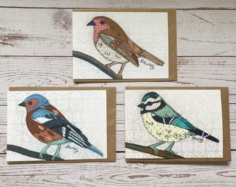 Pack of 3 Bird Cards, Bird Greeting Cards, Any Occasion Card