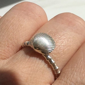 Sterling silver shell ring | Coastal jewellery | Little seashell ring