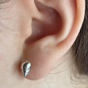 Sterling Silver Seashell Stud Earrings: Surf Jewelry