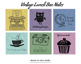 Vintage lunchbox liefdesnotitiekaarten