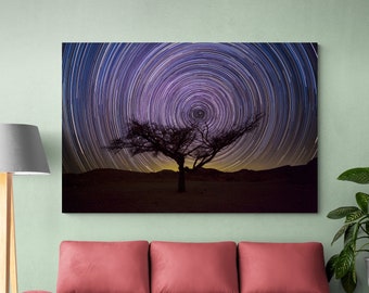 Star Trail Tree, Astrophotography, Color Photography, Wall Art, Art Print, Fine Art Photo, HDR, Long Exposure, Negev Desert, Israel, Nature