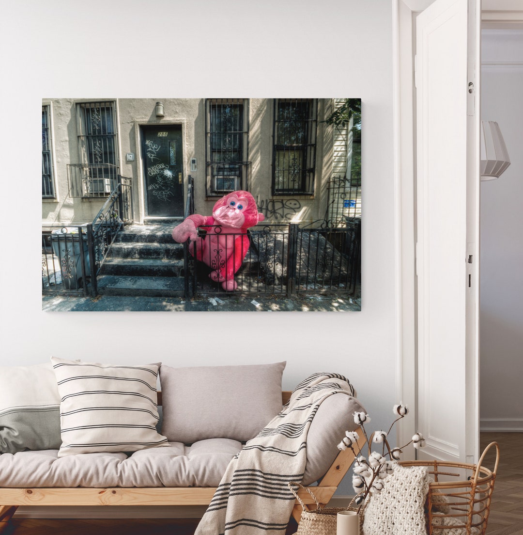 Pink Monkey, New York Art, Color Photography, NYC Stoop, Wall Art ...