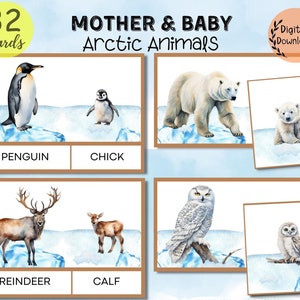 Tarjetas de emparejamiento de animales del Ártico para madres y crías, tarjetas didácticas de animales polares, animales de la Antártida para el aprendizaje en el hogar y preescolar, rompecabezas del Ártico