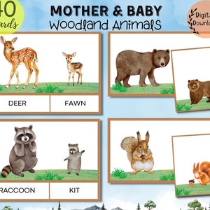 Karty z obrazkami zwierząt leśnych dla matki i dziecka, zajęcia dla przedszkolaków z motywem jesieni, jednostka leśna Montessori, gra w dopasowywanie kart leśnych
