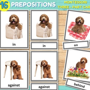Preposition Flashcards Dog Unit Study Preschool Printable Activity, Montessori Language Grammar Three Part Cards, PreK Pets Positional Word