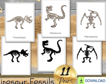 Actividad de emparejamiento de sombras de fósiles de dinosaurios, material Montessori imprimible, estudio de unidad de dinosaurios, tarjetas didácticas para preescolar, preescolar y preescolar en PDF
