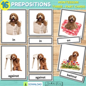 Preposition Flashcards Dog Unit Study Preschool Printable Activity, Montessori Language Grammar Three Part Cards, PreK Pets Positional Word