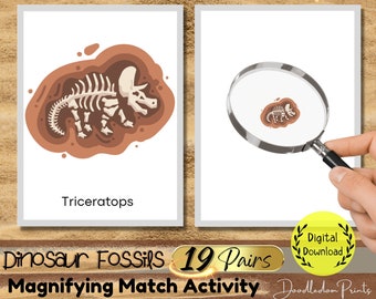 Dinosaur Fossils Magnifying Match Activity, Dinosaur Theme Montessori Printable Material, Toddler Preschool Dinosaur Bones Flash Card game