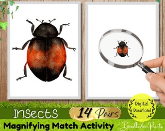 Insects Magnifying Match Activity, Mini Beasts Montessori Printable Material, Toddler Preschool Kids Beetle Bugs Flashcards, DIY Insect Game