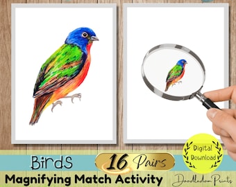 May include: A printable digital download of a magnifying match activity featuring 16 pairs of colourful birds. The birds are illustrated in a watercolour style with vibrant colours, including blue, green, orange, and red. The text "Birds Magnifying Match Activity" is included in the image.