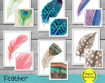 Feather Matching Cards, Montessori Printable Materials, Toddler Pattern Matching Game, Homeschool Nature Study, Preschool Science Centers