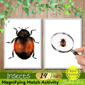 Insekten Passende Aktivitätskarten, Mini Tiere Montessori druckbares Material, Kleinkind Vorschule Käfer Bugs Karteikarten, Insekten Puzzlespiele