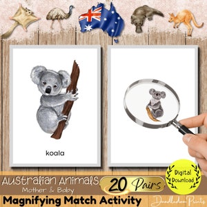 Australische dieren vergrootwedstrijd kinderactiviteit, Australië thema Montessori afdrukbaar materiaal, peuter kleuterschool Australië Flash Cards