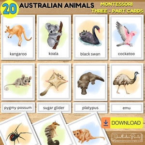 Cartões de 3 partes de animais australianos, atividade pré-escolar para crianças, tema da Austrália Montessori, cartões flash de alfabetização para impressão, estudo de unidade da Oceania