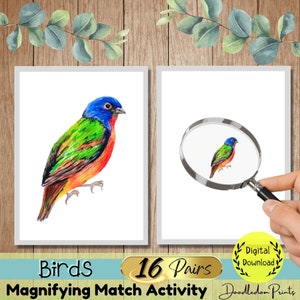Vögel Lupe Streichholz Kinder Aktivität, Vogel Thema Montessori druckbare Material, Kleinkind Vorschule Hinterhof Vogel Flash Karten, Vogel Einheit Studie