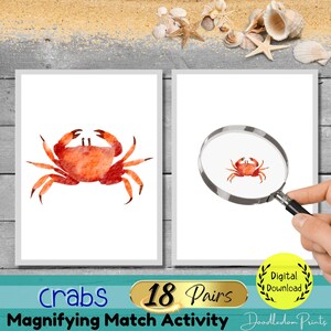Atividade de correspondência de caranguejos, Crustáceos inspirados em Montessori para impressão, Flashcards de caranguejos para crianças em idade pré-escolar, Estudo de unidade de caranguejos, Tudo sobre caranguejos