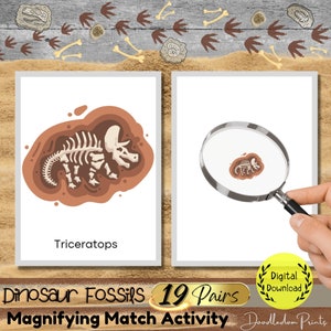 Dinosaur Fossils Magnifying Match Activity, Dinosaur Theme Montessori Printable Material, Toddler Preschool Dinosaur Bones Flash Card game