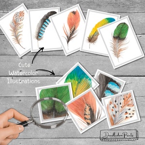 Feather Matching Cards, Montessori Printable Materials, Toddler Pattern ...
