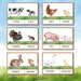 Farm Animal Mother and Baby Matching Spring Flashcards Montessori ...