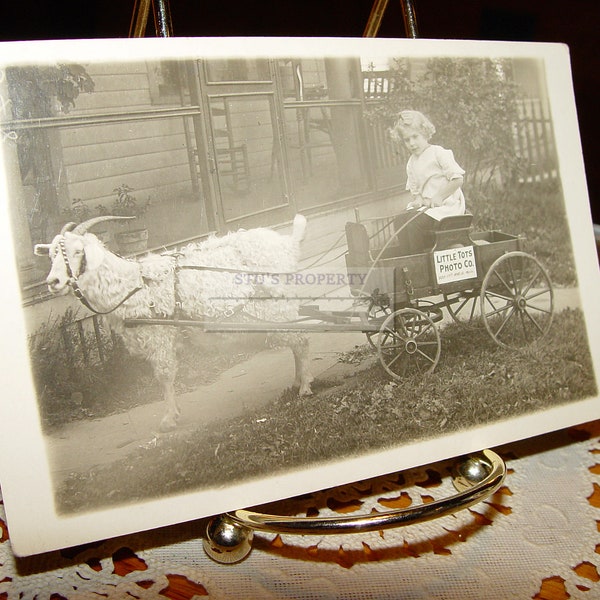 Antique Victorian Era RPPC Little Tots Photo Co. Girl in a Goat Cart