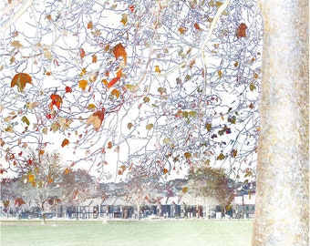 Bristol Park life -  Limited edition signed print