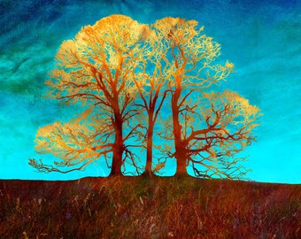 Rusty trees  - Signed limited edition print