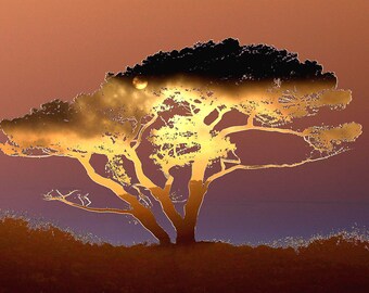 Sunset Tree - Signed limited edition print