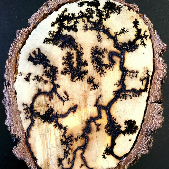 Lichtenberg Wood Art – Fractal Burn Wood – Lightning Burned Wood Decor – 4 Inch Handmade Rustic Wood Gift – One of a Kind Natural Art