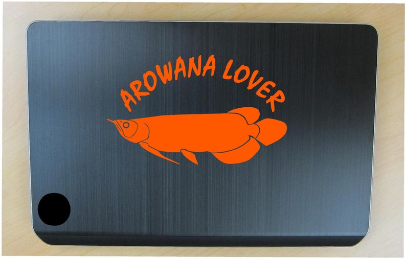 Arowana aquarium fish decal