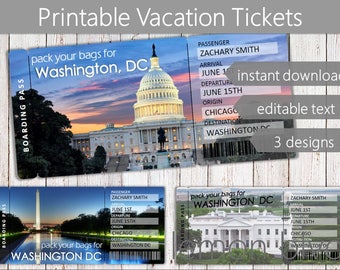 Surprise Washington DC Trip Ticket | Vacation Tickets Instant Download | Boarding Pass | Printable Trip Ticket Surprise | Washington Ticket