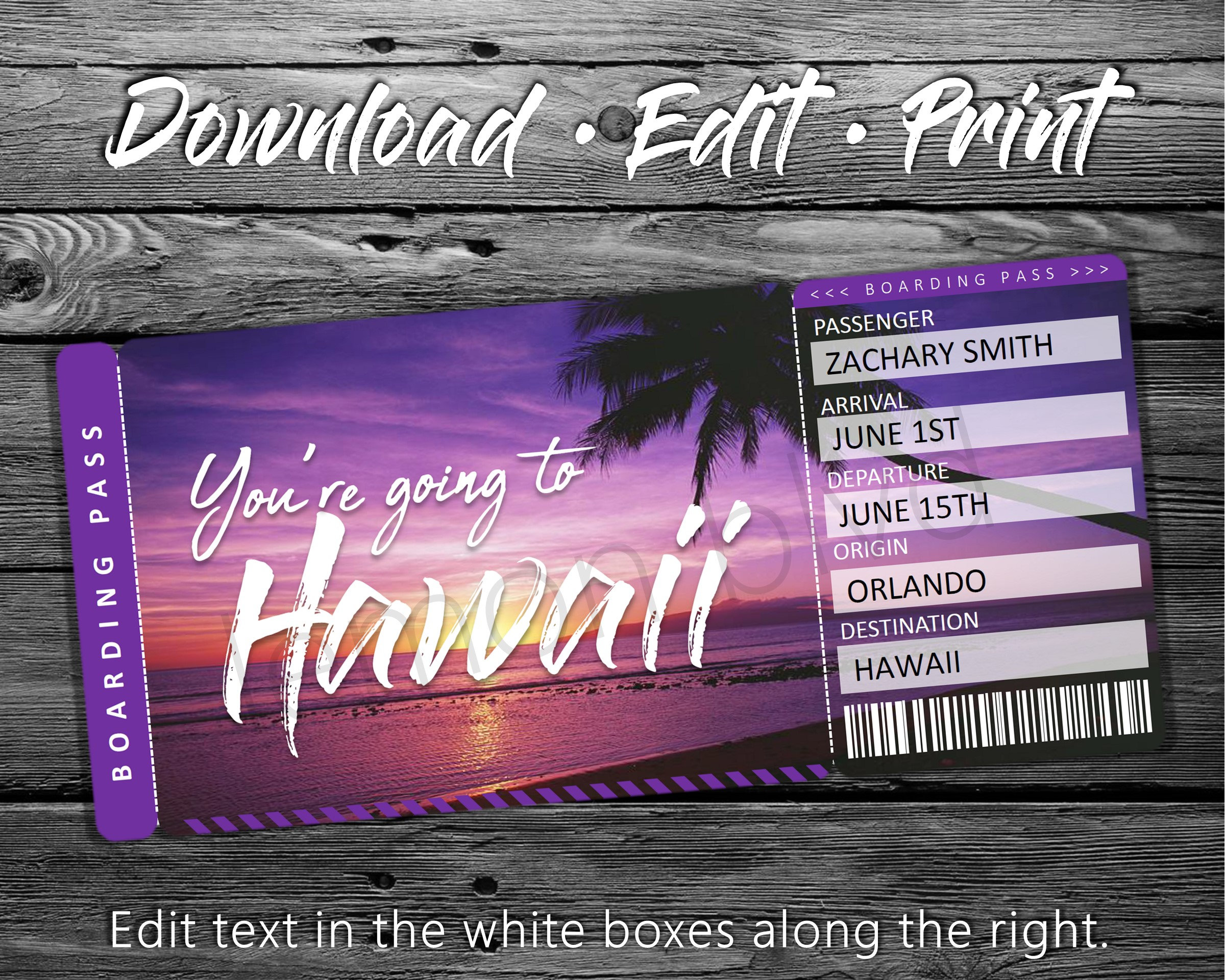 Surprise Hawaii Trip Ticket Vacation Tickets Instant Etsy UK