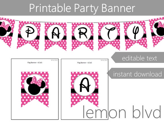 Disney Minnie Mouse Pink Polka Dot Banner Flag