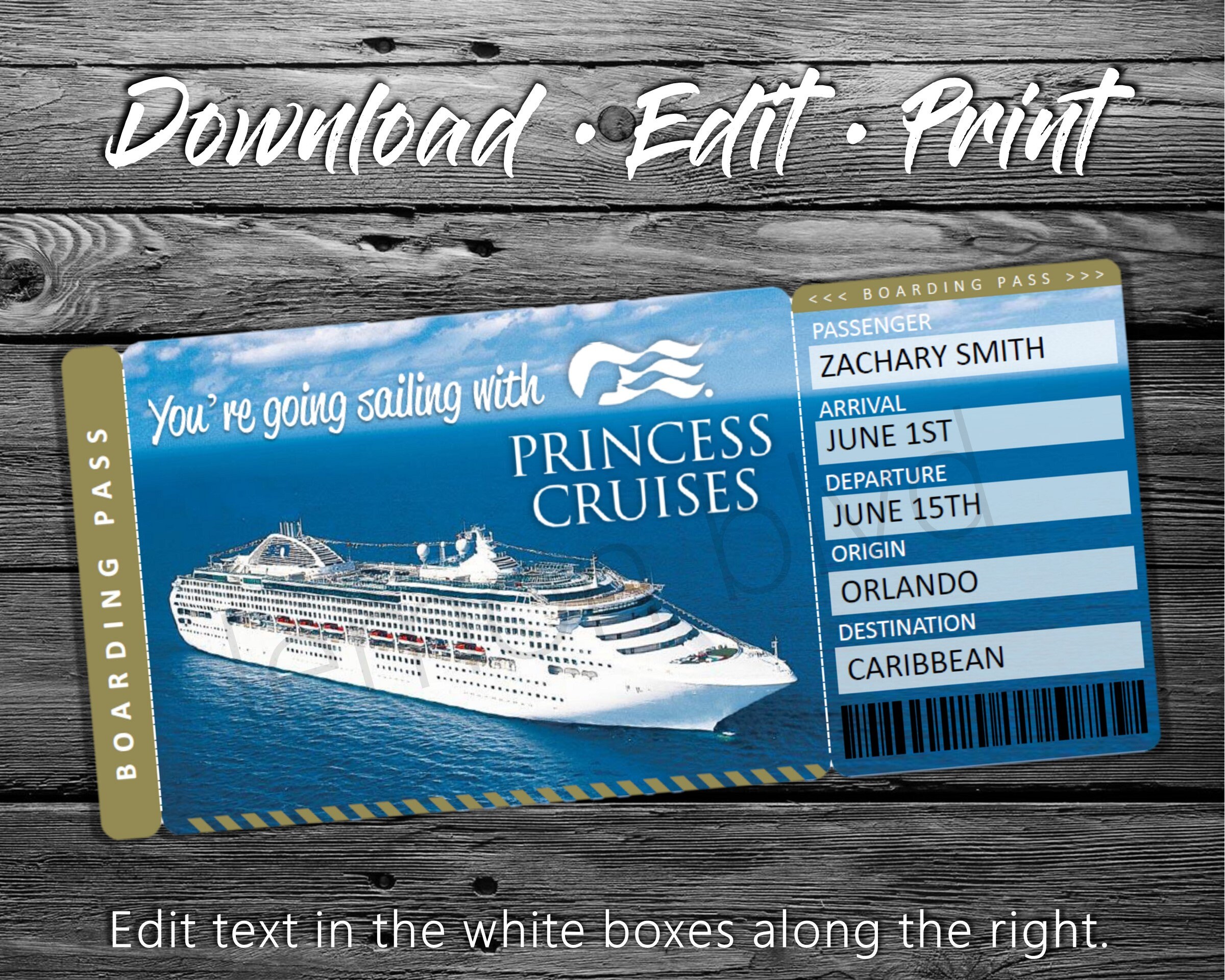Princess Cruise Tickets Cruise Ticket Download Editable Etsy