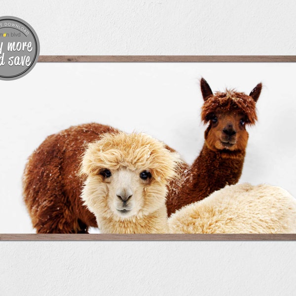 Samsung Frame TV Art - Alpacas in the Snow | Digital Art