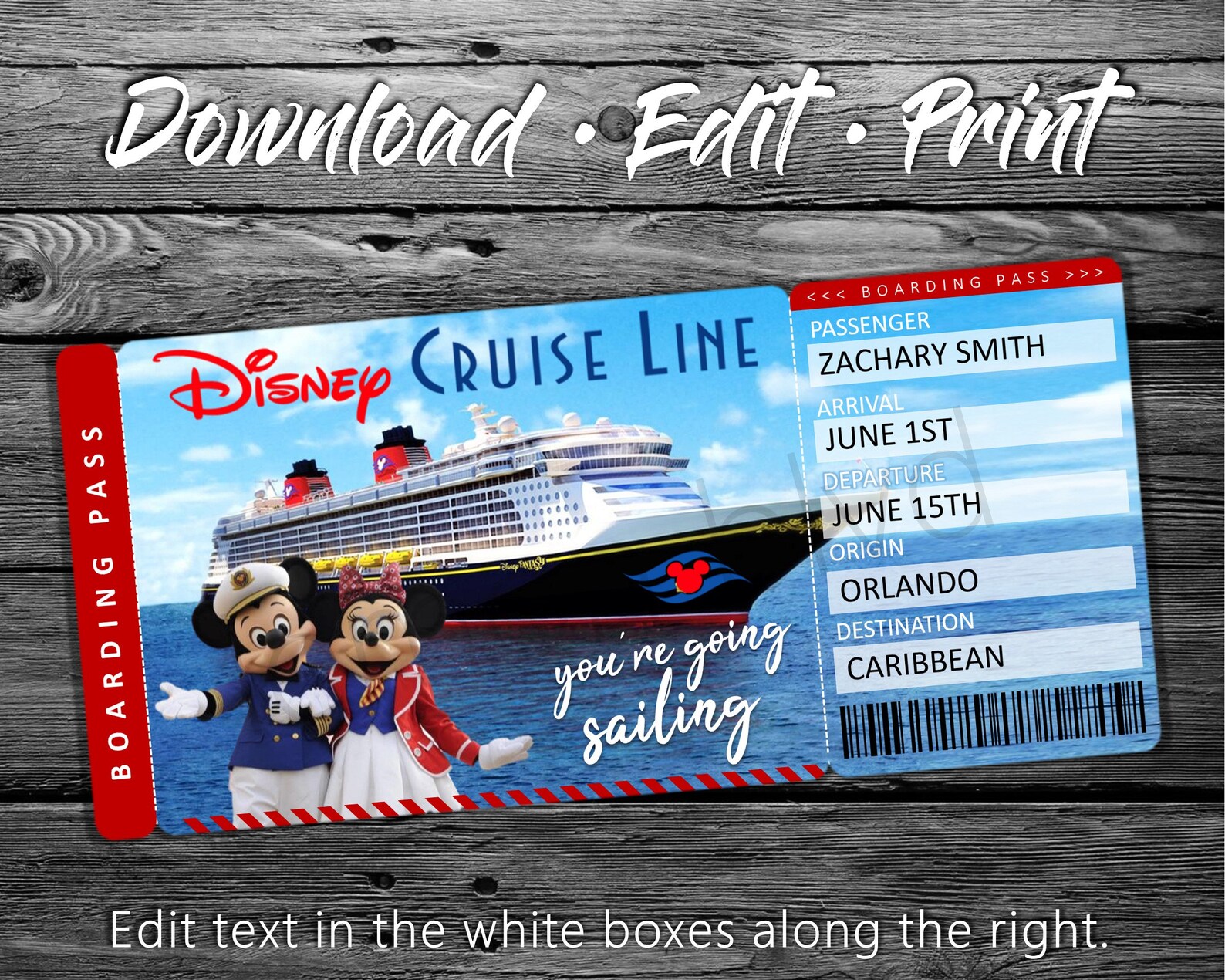 Disney Cruise Tickets Cruise Ticket Instant Digital Download Etsy
