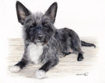 Hand-drawn Custom Pet Portrait, colored pencil