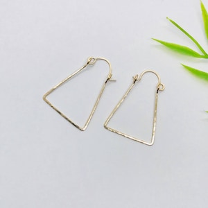 May include: A pair of gold-colored, geometric earrings. Each earring features a triangular shape with a hammered texture. The earrings are displayed on a white surface with a few green leaves in the background.